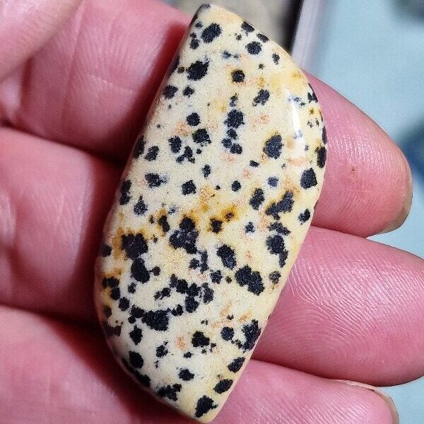43x21mm dalmation jasper cabochon