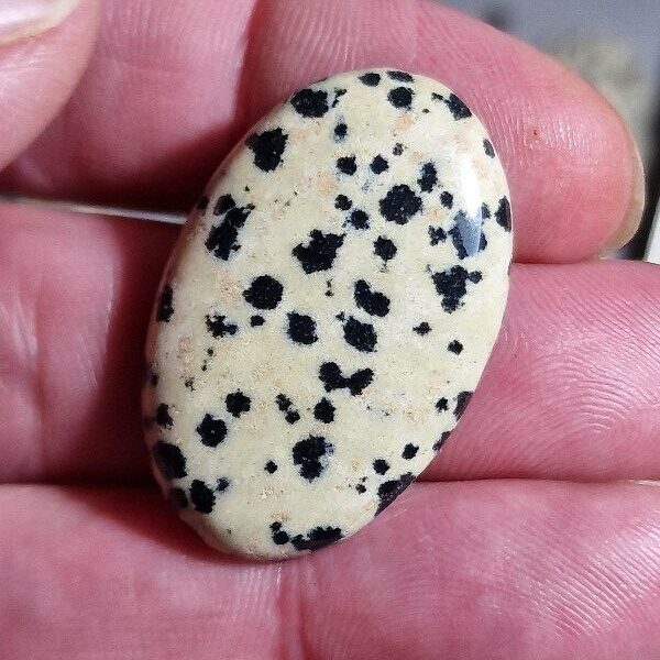 34x22mm dalmation jasper cabochon