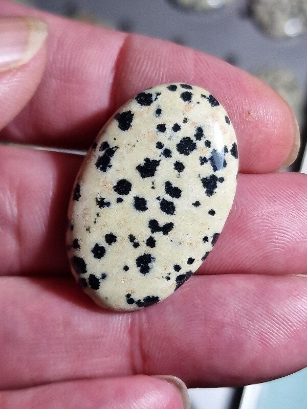 34x22mm dalmation jasper cabochon