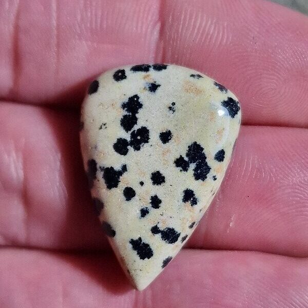 30x20mm dalmation jasper cabochon