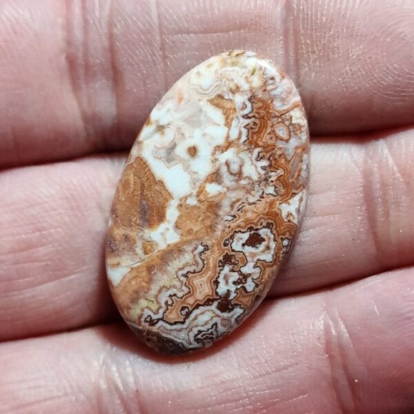 32x20mm Rosella jasper cabochon