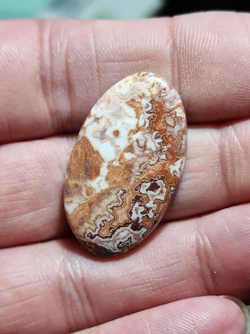 32x20mm Rosella jasper cabochon