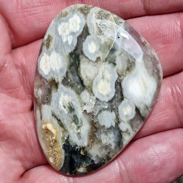 48x38mm Ocean jasper cabochon