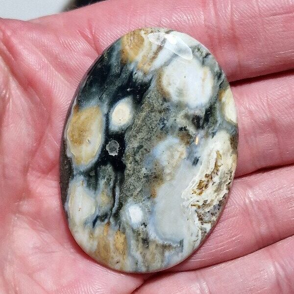 51x37mm Ocean jasper cabochon