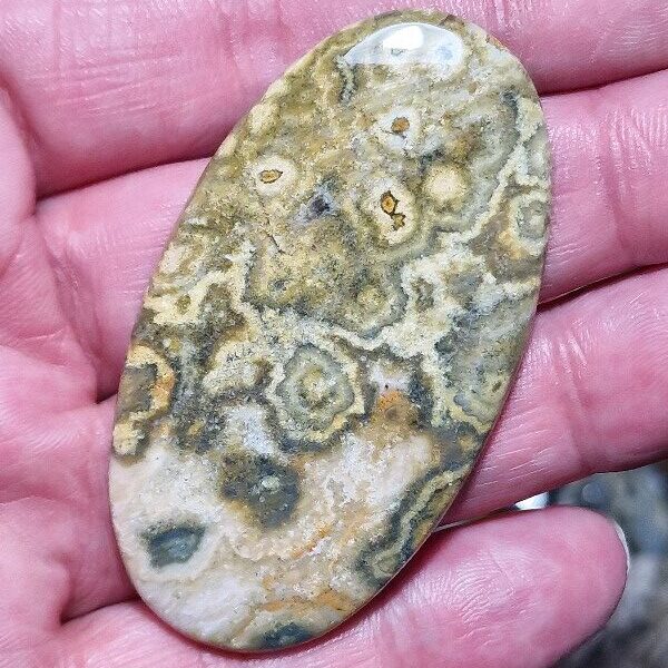 61x35mm Ocean jasper cabochon
