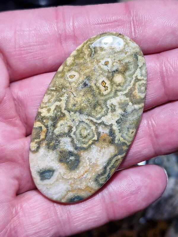 61x35mm Ocean jasper cabochon