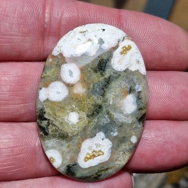 48x34mm Ocean jasper cabochon