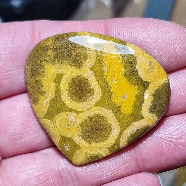 46x42mm Ocean jasper cabochon