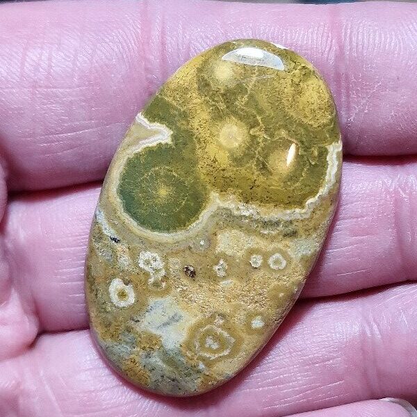 47x28mm Ocean jasper cabochon