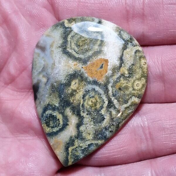 47x37mm Ocean jasper cabochon