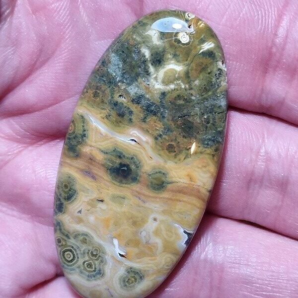 52x25mm Ocean jasper cabochon