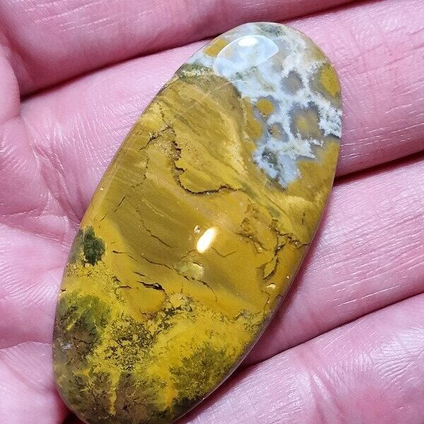 49x24mm Ocean jasper cabochon
