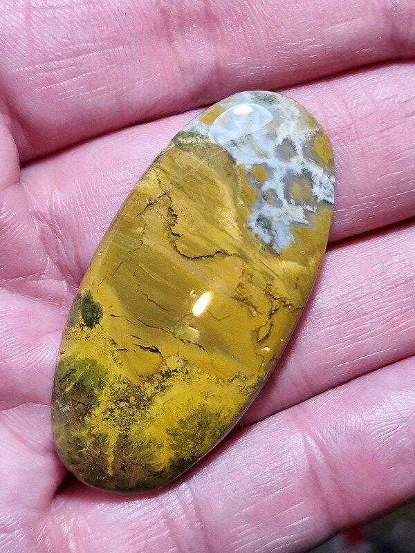 49x24mm Ocean jasper cabochon