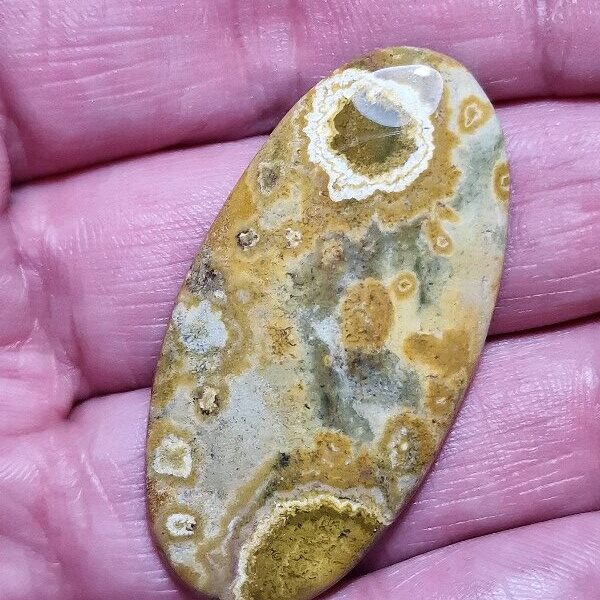47x24mm Ocean jasper cabochon