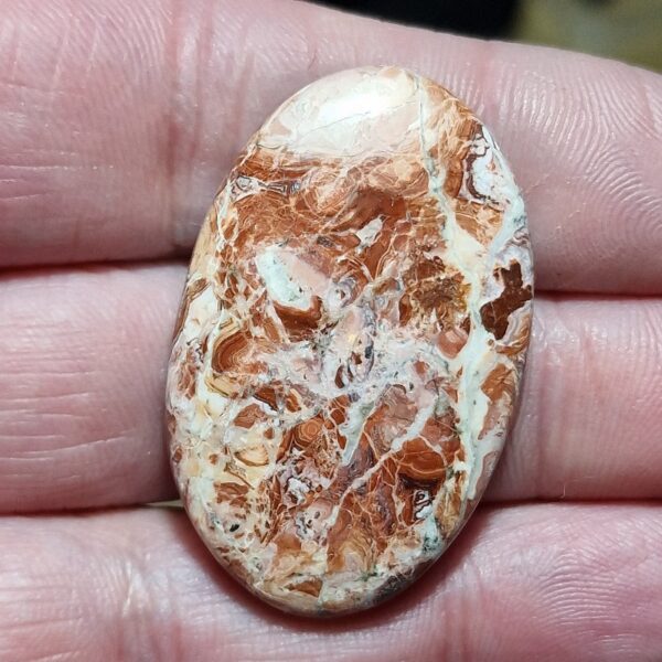 42x26mm Rosella jasper cabochon
