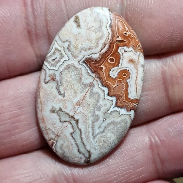 39x25mm Rosella jasper cabochon