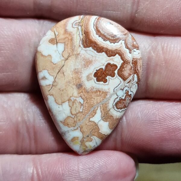 35x25mm Rosella jasper cabochon