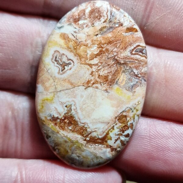 39x26mm Rosella jasper cabochon
