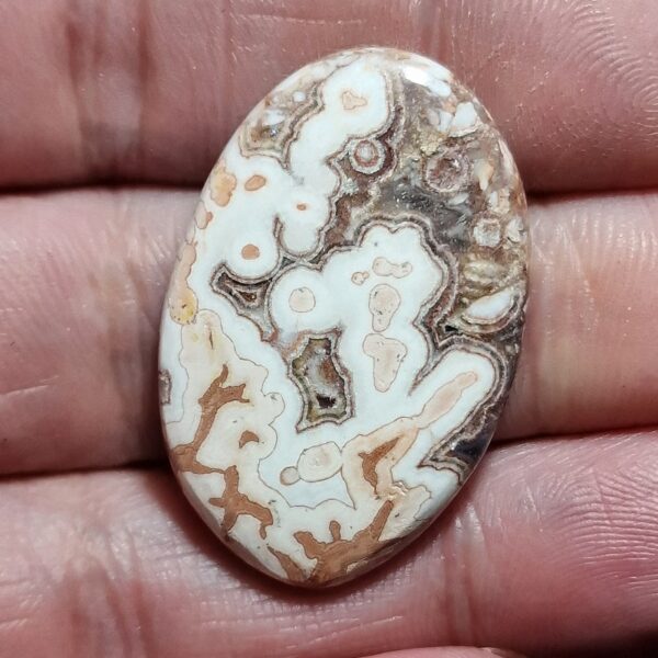 35x23mm Rosella jasper cabochon