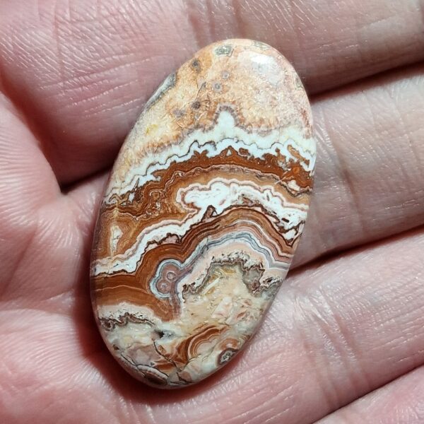38x22mm Rosella jasper cabochon