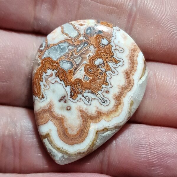 36x28mm Rosella jasper cabochon
