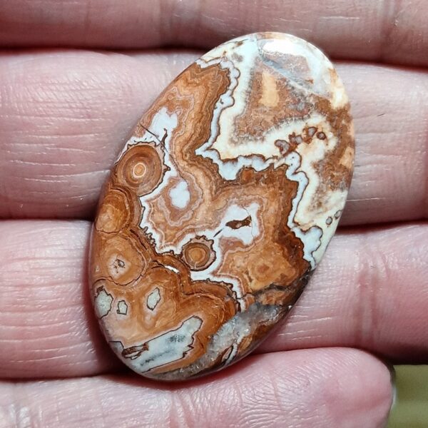 38x23mm Rosella jasper cabochon