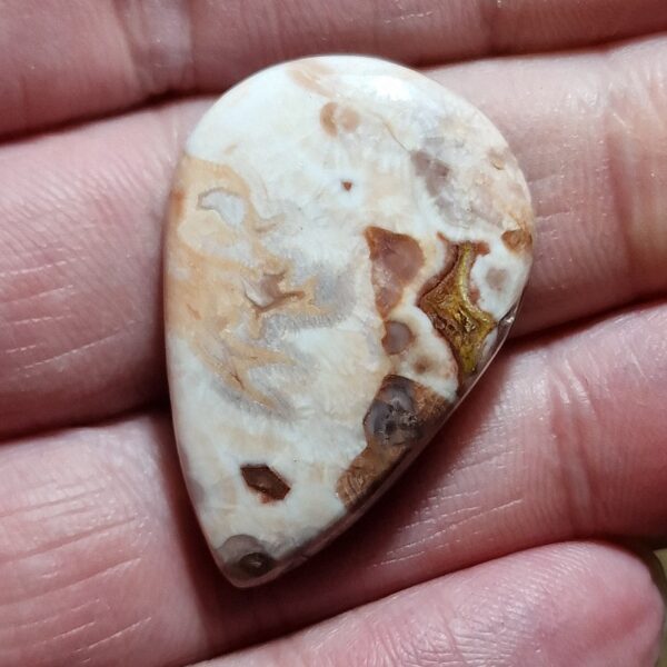 34x23mm Rosella jasper cabochon