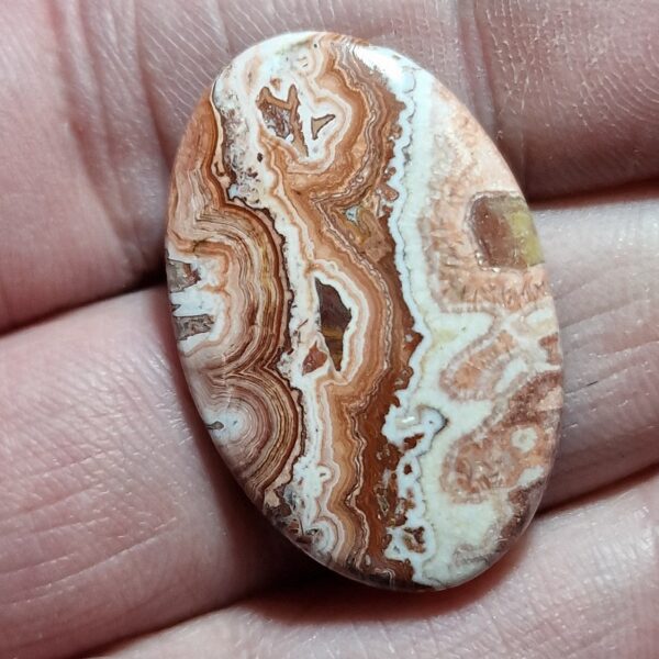 32x21mm Rosella jasper cabochon