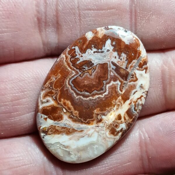37x25mm Rosella jasper cabochon