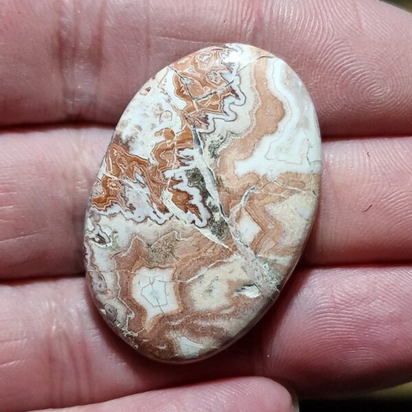 40x27mm Rosella jasper cabochon