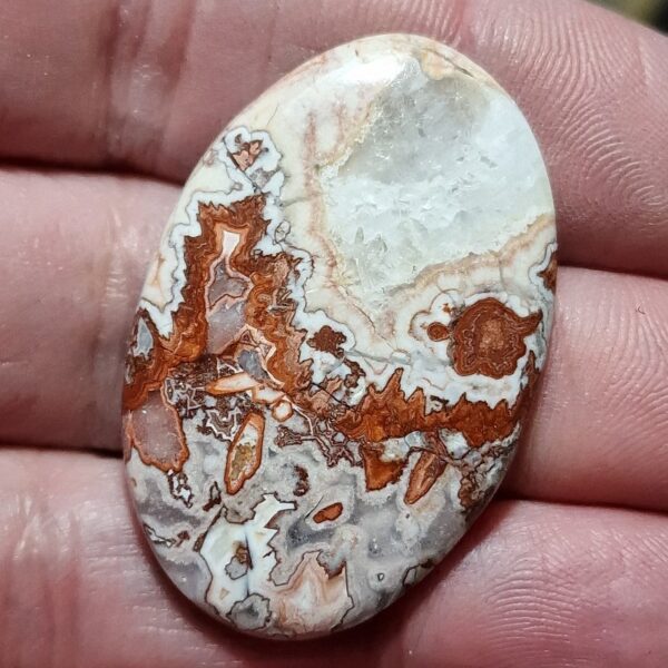 42x27mm Rosella jasper cabochon