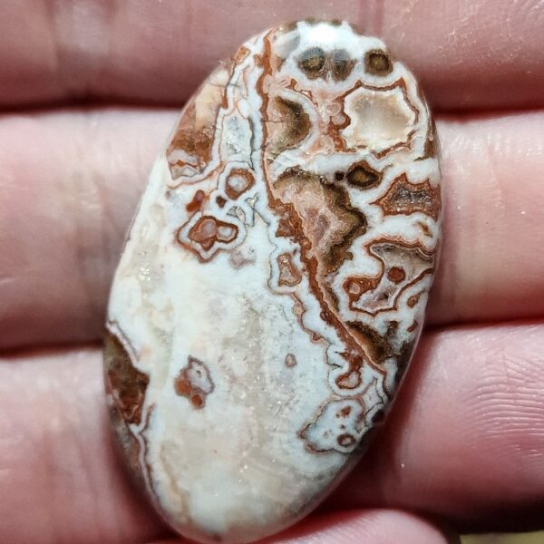 40x23mm Rosella jasper cabochon