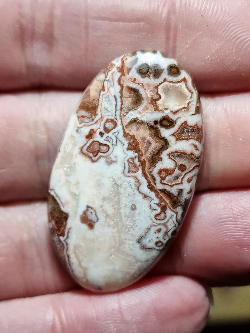 40x23mm Rosella jasper cabochon