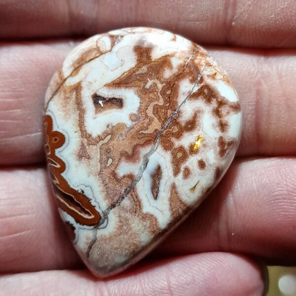 37x27mm Rosella jasper cabochon