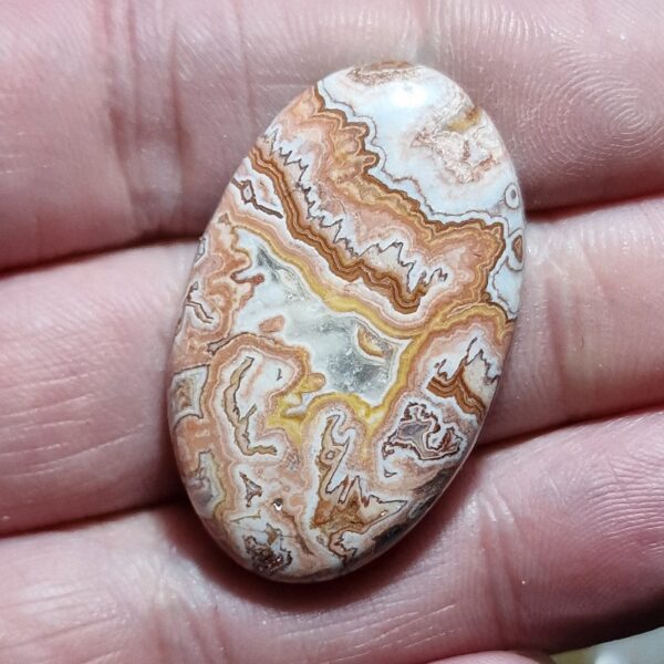 39x24mm Rosella jasper cabochon