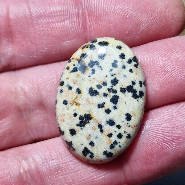32x23mm dalmation jasper cabochon