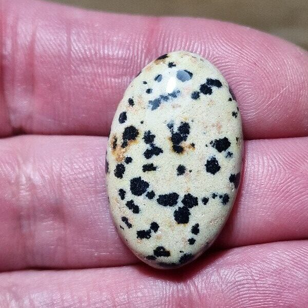 31x20mm dalmation jasper cabochon