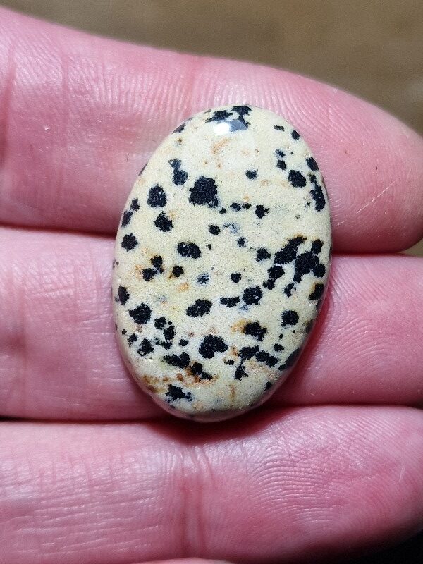 32x21mm dalmation jasper cabochon