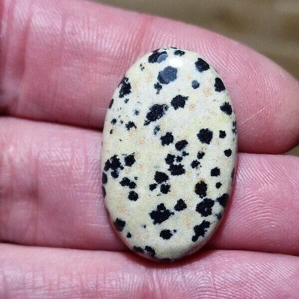 32x20mm dalmation jasper cabochon