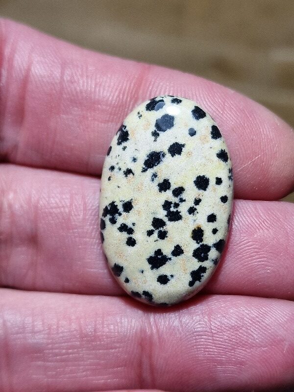 32x20mm dalmation jasper cabochon