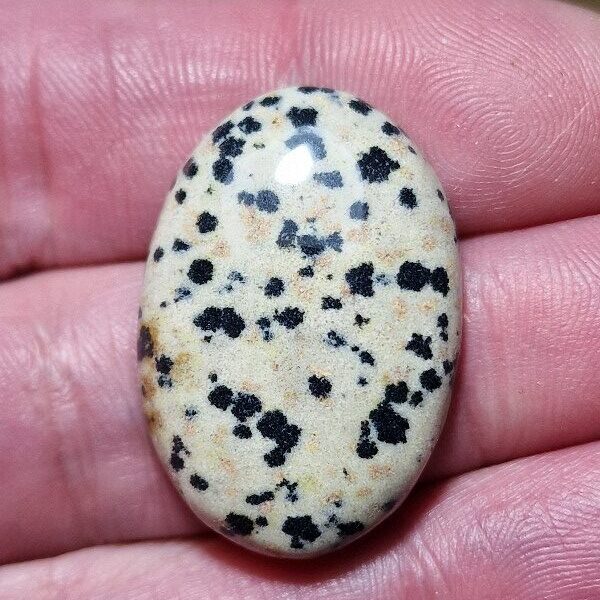 31x22mm dalmation jasper cabochon