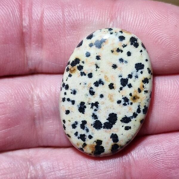33x23mm dalmation jasper cabochon