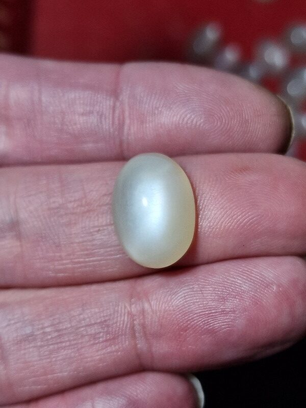 18x13mm white moonstone cabochon