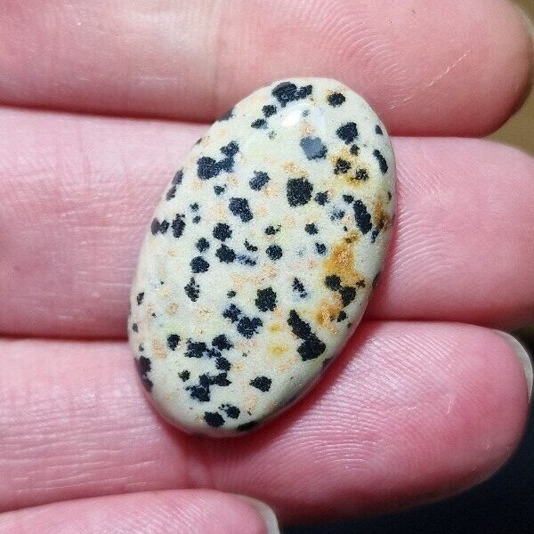 31x19mm dalmation jasper cabochon