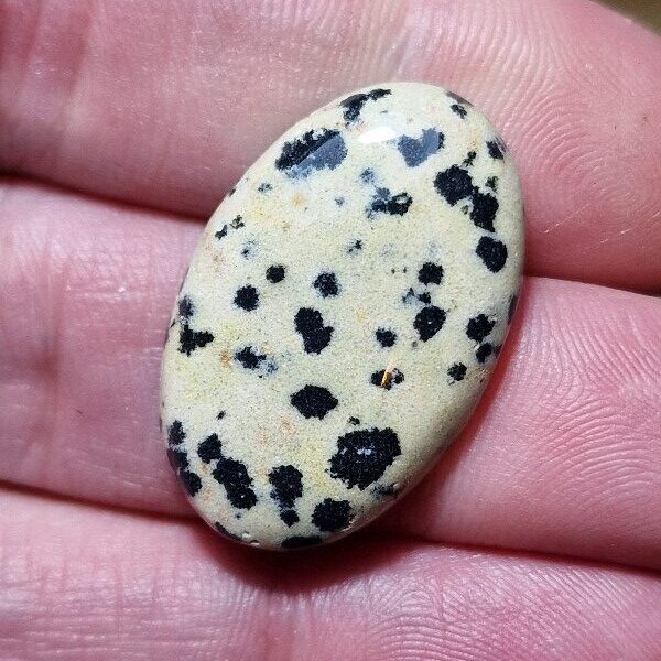 30x19mm dalmation jasper cabochon