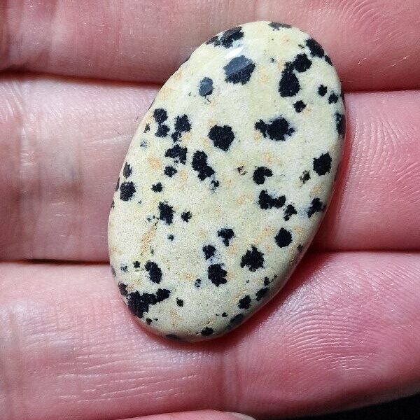 33x20mm dalmation jasper cabochon