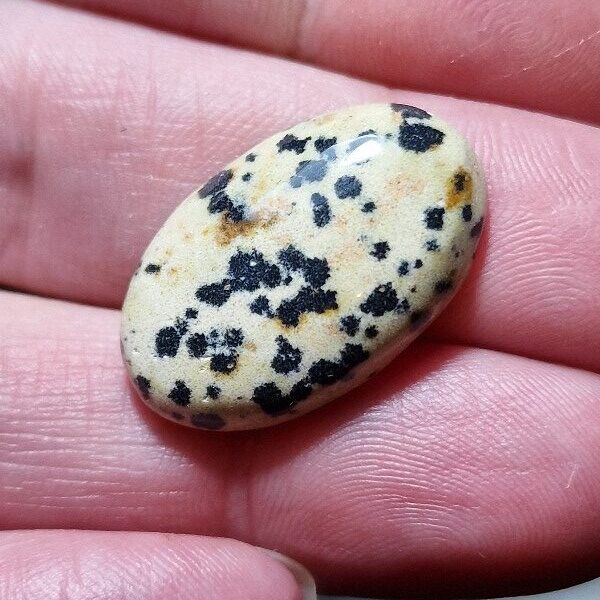 26x16mm dalmation jasper cabochon