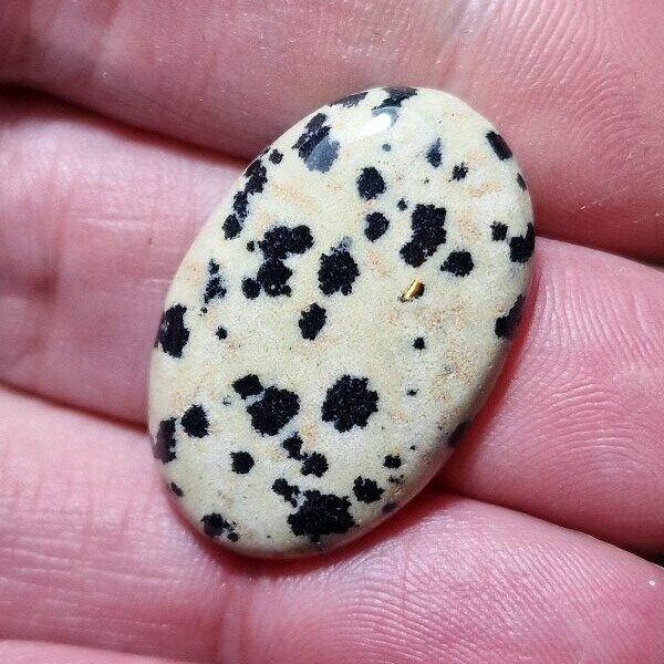 30x20mm dalmation jasper cabochon
