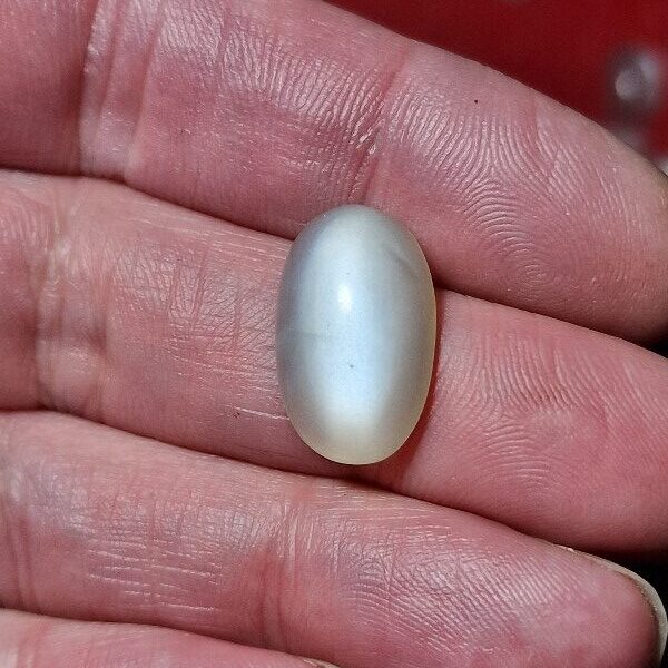 19x12mm white moonstone cabochon