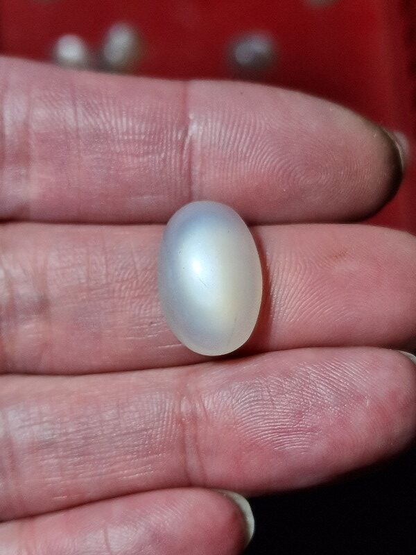 19x12mm white moonstone cabochon
